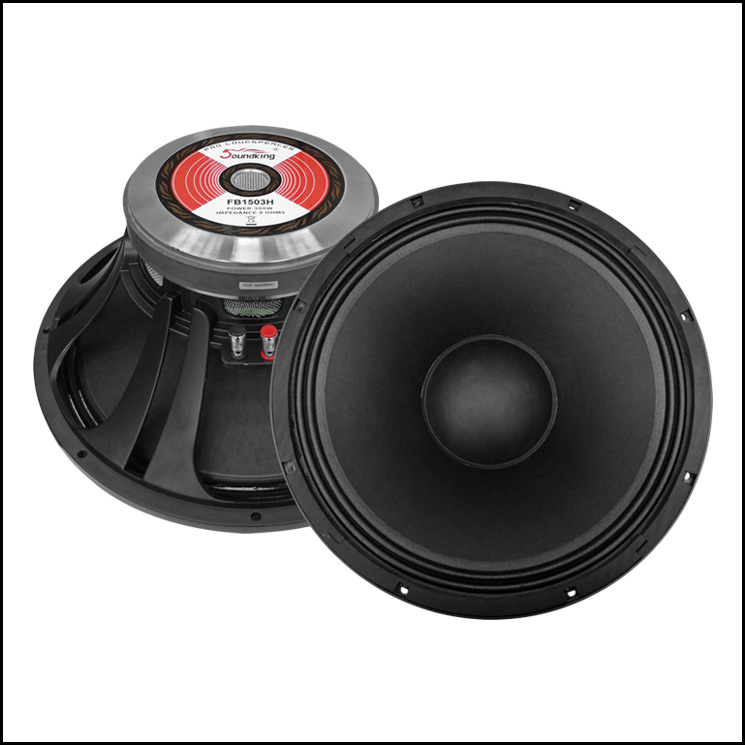 loa bass soundking L215